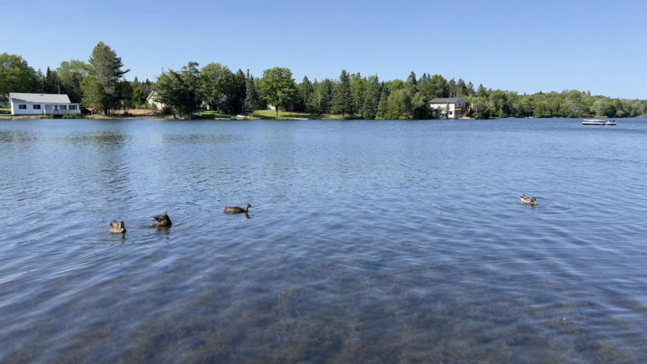 Douglas Lake Paradise Ab Villa Saint John Exterior photo